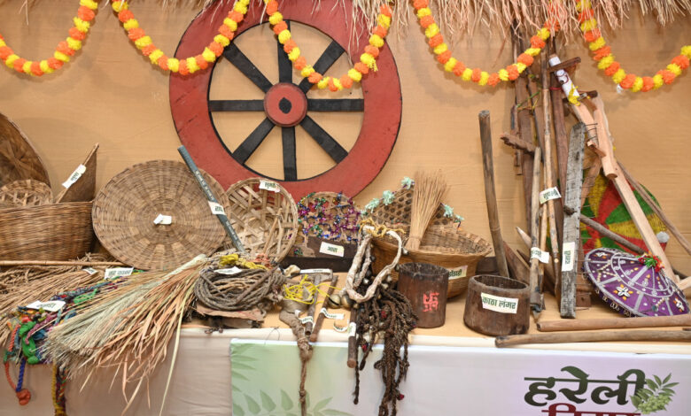 Hareli Utsav at CM Residence: A glimpse of Chhattisgarhi traditions seen in CM House...! A glimpse of cultural splendor scattered along with agricultural equipment... see here