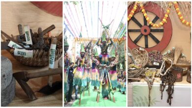 Hareli Tihar: Chief Minister's residence painted in the colors of the beautiful tradition of Hareli...! Hareli program decorated with Sawan swing, Gidi dance and exhibition of agricultural equipment