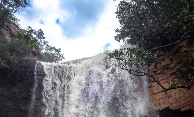Bastar Tourism: Unique view of the natural beauty of Bastar in the rain, special monsoon trekking organized for tourists