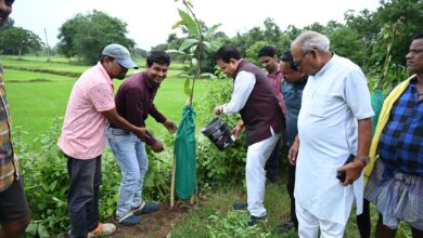 Ek Ped Maa ke Naam: MLA Dr. Sampat Agarwal planted a tree, said - love for nature in honor of mother, planting trees is not just greenery, it is a living symbol of dedication towards mother: MLA Dr. Sampat Agarwal