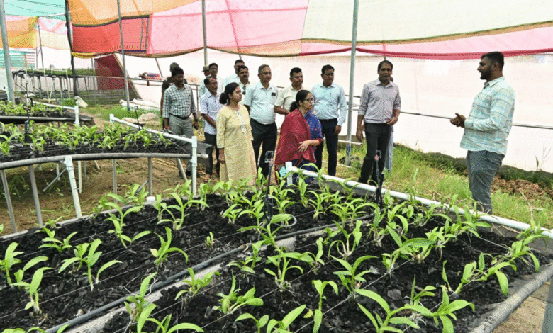 Special Article: New chapter of development, story of changing rural landscape in Dhamtari, double leap in milk production: Women become empowered