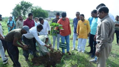 MLA Anuj launched Women for Tree Campaign
