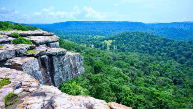 World Tourism Day 2025: Chhattisgarh Tourism Board announces state level tourism awards, online applications from 1 to 15 September