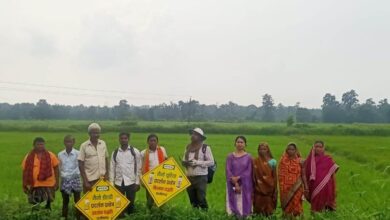 Promotion of Nano Fertilizers: Demonstrations are underway to spray nano urea in fields! Farmers are being taught the spraying method and its benefits.