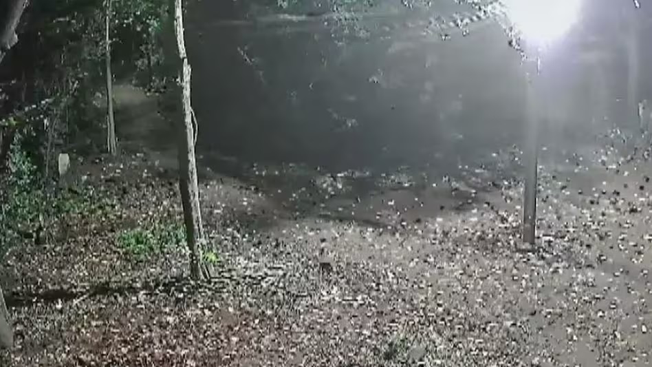 Women's Bodies: A shocking incident that shocked humanity! The bodies of women were exhumed from their graves and brutalized... The accused has been arrested.