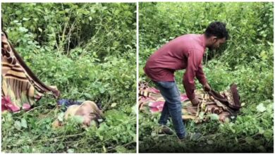 Elephant Enters Village: Late night a group of 50 elephants entered the village...! A mother sleeping with her mentally ill son was brutally crushed... helpless Mamta kept watching... watch the video here