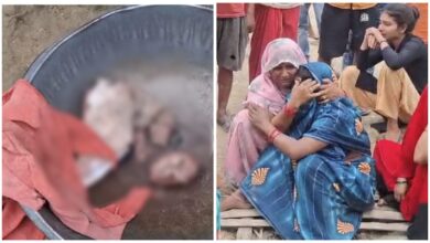 Wolf Attack: The wolf took the girl away from the house...! Body parts found in the field... chaos in the area... watch the video here