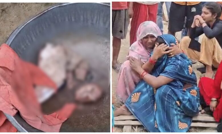 Wolf Attack: The wolf took the girl away from the house...! Body parts found in the field... chaos in the area... watch the video here