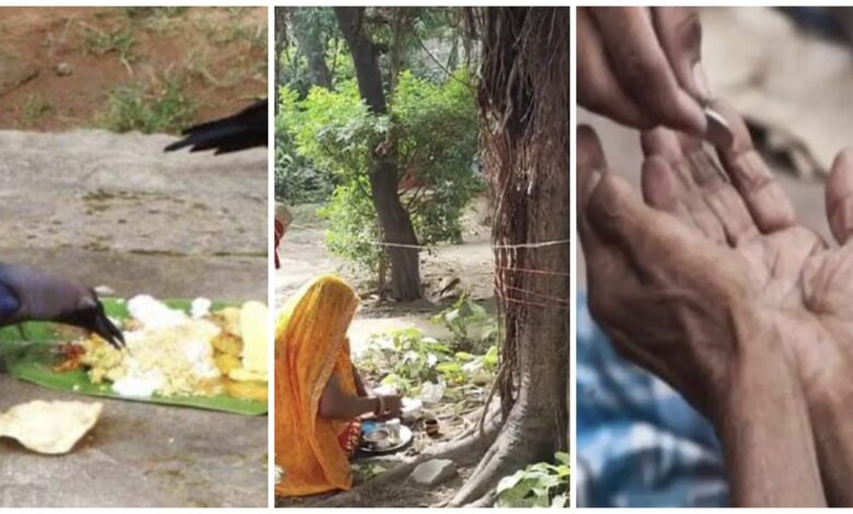 Pitru Paksha 2025: When our ancestors return...! Perform these 4 virtuous deeds to attain the peace and blessings of our ancestors...see step-by-step instructions here