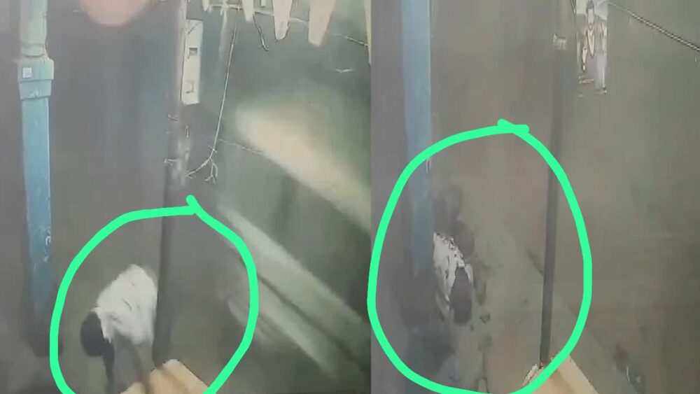 Father-Son Murder: A heartbreaking incident in Surajpur...! A father and son died tragically in a mutual dispute... The accused crushed them to death with a car... The second son is seriously injured... Watch the live video here.