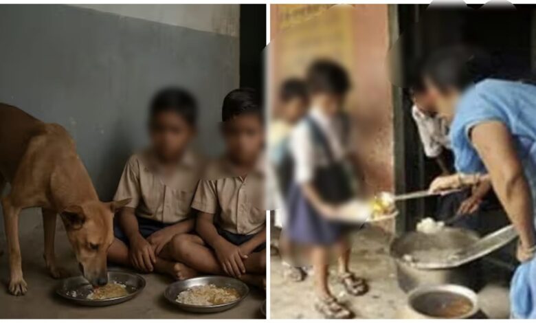 Mid-Day Meal Case: Dog food was served to children... 84 children got compensation on the orders of the High Court... Rs 25,000 transferred to each of their accounts