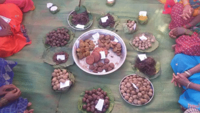 World Food India 2025: Mahua and Millets gain national and international recognition, Jashpure's impressive presence at World Food India 2025