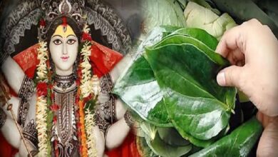 Shardiya Navratri 2025: To get the blessings of Goddess Durga, follow these special remedies using betel leaves… Goddess Lakshmi will fill your home with wealth.