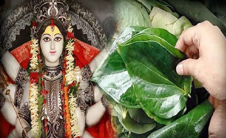 Shardiya Navratri 2025: To get the blessings of Goddess Durga, follow these special remedies using betel leaves… Goddess Lakshmi will fill your home with wealth.