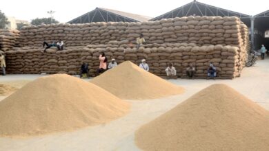 Paddy Purchase: Farmers, prepare to sell your paddy! Procurement will begin in November... This year's target is over 16 million metric tons... Just make sure you get this done before selling your paddy.