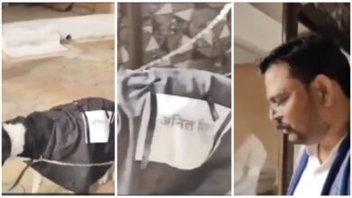 Very Shameful: A dog was taken for a walk with a leash on its neck that read "Anil Mishra"! Humiliating video goes viral...the matter escalates...watch it here