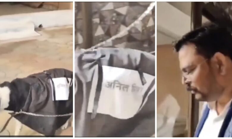 Very Shameful: A dog was taken for a walk with a leash on its neck that read "Anil Mishra"! Humiliating video goes viral...the matter escalates...watch it here