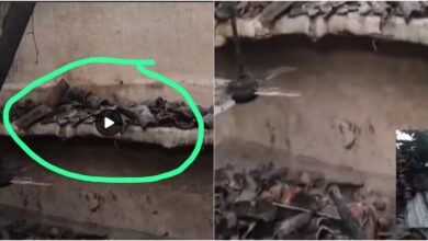 Double Murder: Son-in-law arrives home as death! Father-in-law tied to a cot and blown up with a bomb...house destroyed in the blast...Police reveal the sensational murder.
