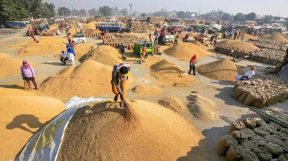 Paddy Procurement : धान खरीदी में रिकॉर्ड प्रगति, 11,911 करोड़ रुपये का भुगतान जारी
