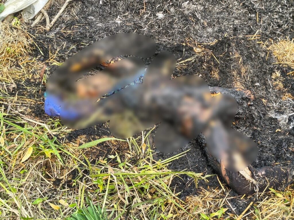 Young Man Burnt Alive : बिग ब्रेकिंग…बलौदाबाजार से बड़ी घटना…! पैरा में आग लगाकर युवती को जिंदा जलाया…धुआं उठता देख ग्रामीणों ने दी पुलिस को सूचना…यहां देखें