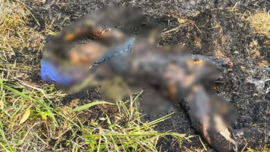 Young Man Burnt Alive: Big Breaking News... A major incident from Balodabazar... A young woman was burned alive by setting her para on fire... Villagers informed the police after seeing the smoke... Watch here