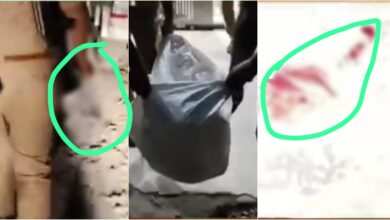 Neck Stuck in Lift: A heartbreaking accident! While loading a bundle of clothes, the lift suddenly began to move. The young man's neck became stuck in the door and was severed from his torso. He died in agony.