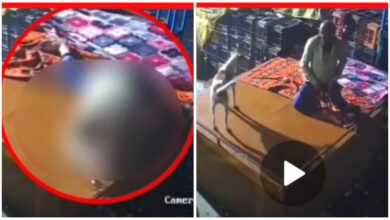 Street Dog Raped: Oh God, humanity has fallen so low! A young man rapes a street dog...the entire incident was captured on CCTV...watch the video here.