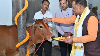 Govardhan Pooja: On the occasion of Govardhan Puja, the Chief Minister worshipped cows and wished happiness and prosperity for the people of the state.