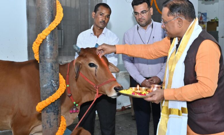 Govardhan Pooja: On the occasion of Govardhan Puja, the Chief Minister worshipped cows and wished happiness and prosperity for the people of the state.