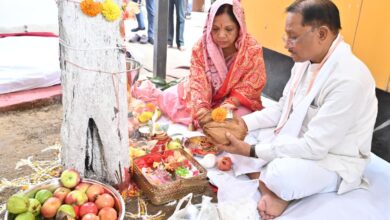 CM Vishnu: On Amla Navami, the Chief Minister worshipped the Amla tree and prayed for the happiness and prosperity of the people of the state.