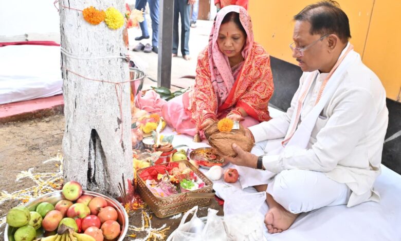 CM Vishnu: On Amla Navami, the Chief Minister worshipped the Amla tree and prayed for the happiness and prosperity of the people of the state.
