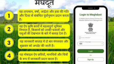 Damini App: Damini and Meghdoot apps will provide information on lightning and weather forecast, instructions for large-scale publicity regarding the app.