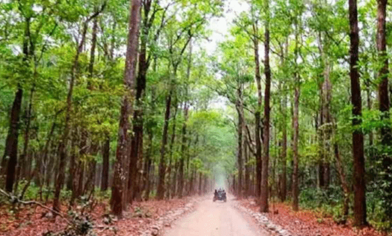 Forest Science Centre : Chhattisgarh's first Forest Science Centre will open in Asana, a major gift for Bastar due to the efforts of Chief Minister Vishnudev Sai.