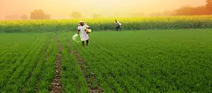 CG Model: Chhattisgarh model of green development and economic prosperity, judicious exploitation of mineral resources, a major step towards a self-reliant economy, state's economy shining with minerals, historic 34-fold increase in mineral revenue
