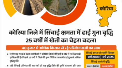 Korea District: Significant increase in irrigation area, more than 40 thousand farmers are taking benefit, irrigation capacity increased by two and a half times in Korea district, face of farming changed in 25 years.