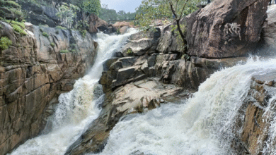 Ranidah Falls: A natural wonder hidden in the dense forests of Chhattisgarh