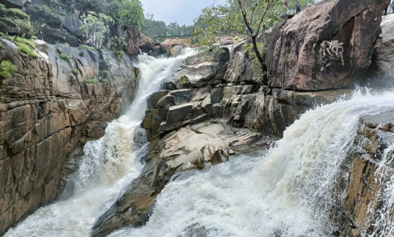 Ranidah Falls: A natural wonder hidden in the dense forests of Chhattisgarh