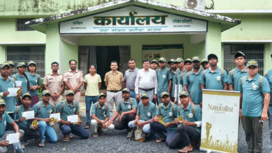 Barnawapara Sanctuary: Youths were given in-depth information on wildlife tourism and environmental conservation; a five-day eco-tourism guide training program concluded at Barnawapara Sanctuary.