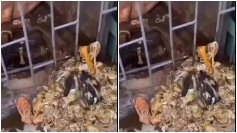 PG Girls Hostel: Shocking incident… Pipeline jam in PG Girls Hostel… Hundreds of condoms found during drainage cleaning… Investigation begins, watch the video here