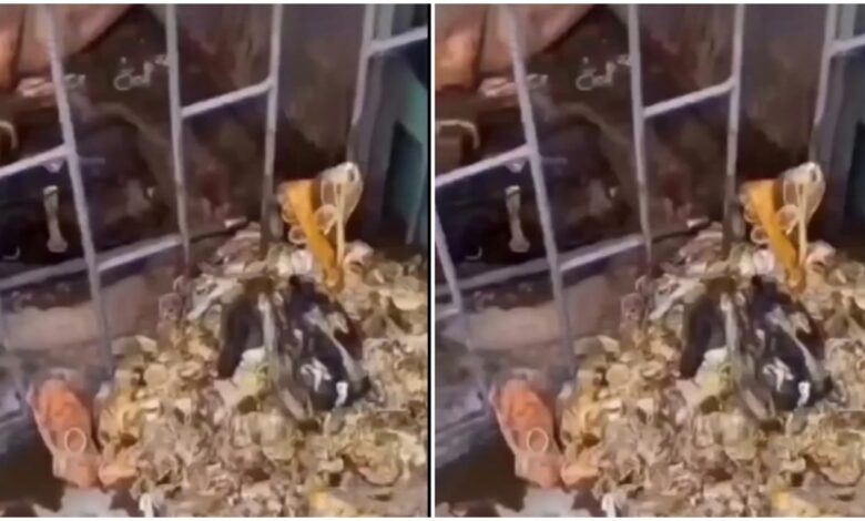 PG Girls Hostel: Shocking incident… Pipeline jam in PG Girls Hostel… Hundreds of condoms found during drainage cleaning… Investigation begins, watch the video here