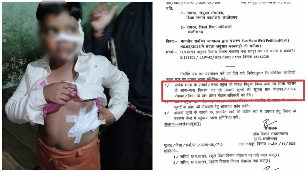 Dog Bite: Chhattisgarh Education Department has taken important steps for the safety of children... Nodal officer appointed to monitor dogs in schools... See order copy here