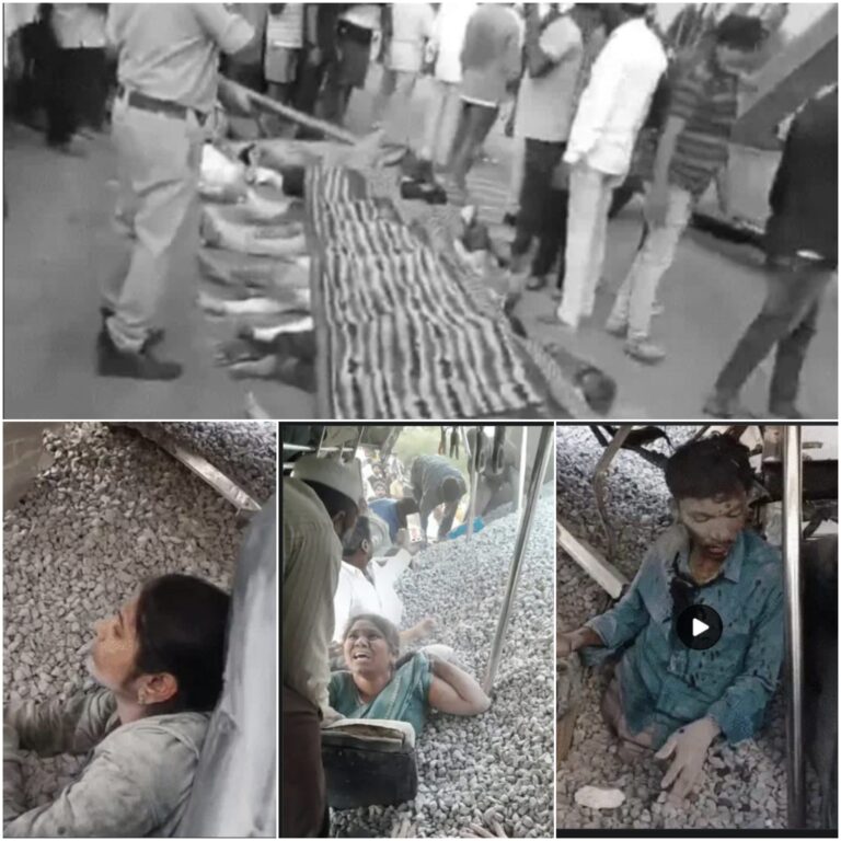 Horrific Road Accident: A heartbreaking scene... a bus-truck collision! 20 people died in agony, buried under concrete...! The faint-hearted should not view these disturbing images.