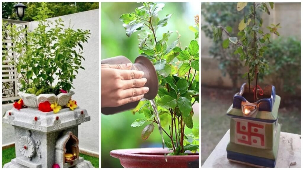 Tulsi Plant : तुलसी माता के पास कभी न लगाएं ये पौधे…! वरना घर में बढ़ सकती है नकारात्मक ऊर्जा… क्या कहता है वास्तु शास्त्र यहां जानें