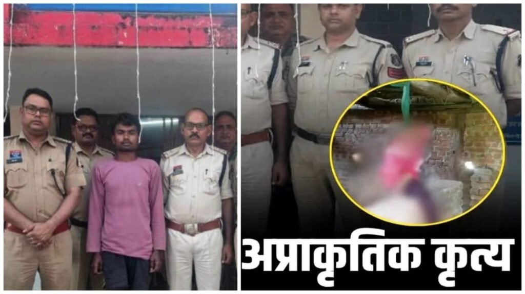 Unnatural Sex : बेहोश बालक के साथ किया अप्राकृतिक सेक्स…फिर निर्माणाधीन मकान में साड़ी से फांसी पर लटका दिया…आरोपी बड़े भाई का सनसनीखेज कबूलनामा