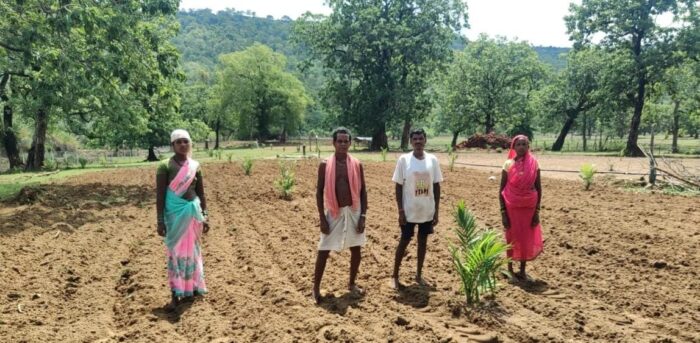 Bastar: From the sound of guns to the fragrance of fruits and flowers, Bastar's miraculous transformation through vegetable and fruit cultivation.