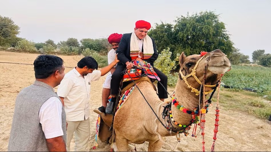 Camel Ride for SIR: The struggle for document verification...! The SDM took charge...reached voters on a camel...document verification became a challenge in the sandy terrain.