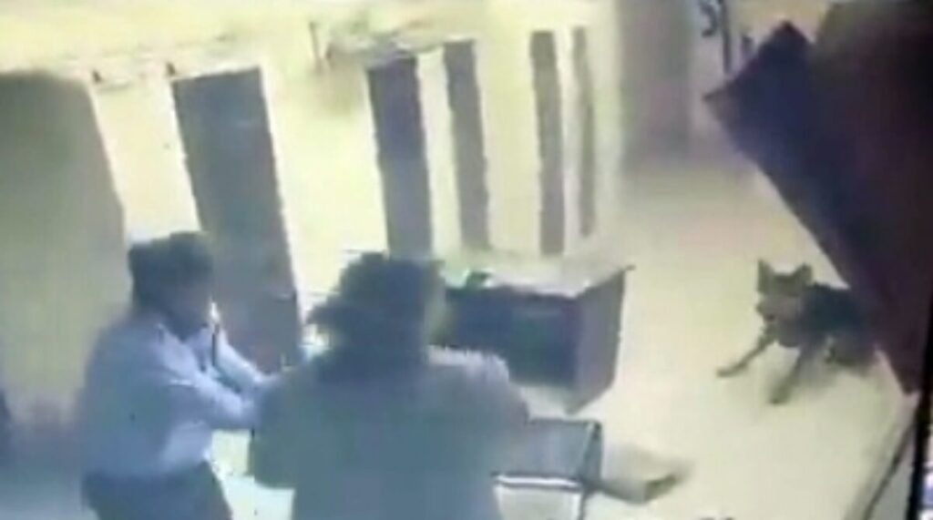 Illegal Coal Trade : ED ने तड़के अवैध कोयला व्यापारी के घर मारा छापा…! अधिकारियों को प्रवेश से रोकने कारोबारी ने छोड़ा अपना पालतू कुत्ता…ड्रामे के साथ ऑपरेशन जारी