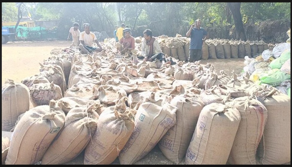 Negligence: Action taken for negligence in paddy procurement! Cooperative society in-charge terminated… action taken for absence and failure to provide explanation