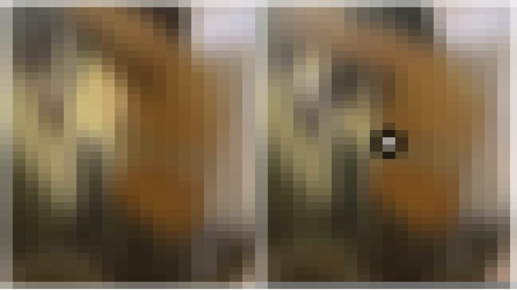 Intimate Moments Videos : टेलीग्राम पर प्राइवेट इंटिमेट पलों के वीडियो खुलेआम बेचे जा रहे हैं…! छत्तीसगढ़ी कपल्स के निजी पलों के वीडियो की बहुत ज़्यादा डिमांड