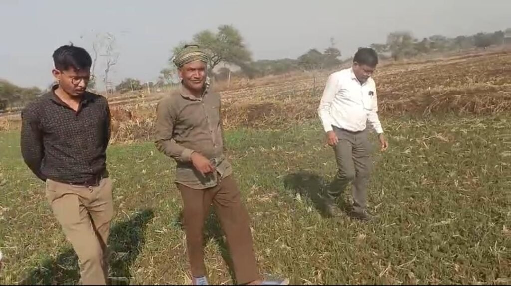 Special Article : धान से हटकर समृद्धि की राह, जेवरा के किसान दिलीप सिन्हा ने दलहन-तिलहन से कमाए 25 लाख रुपये, फसल विविधीकरण की प्रेरक कहानी — कम पानी, कम लागत और अधिक लाभ का सफल मॉडल